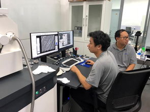 公共技術服務中心開展蔡司掃描電鏡培訓，提升技術服務水平